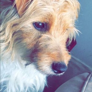 Meet your Posher, Diana